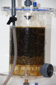 How to make vinegar with coffee taste?