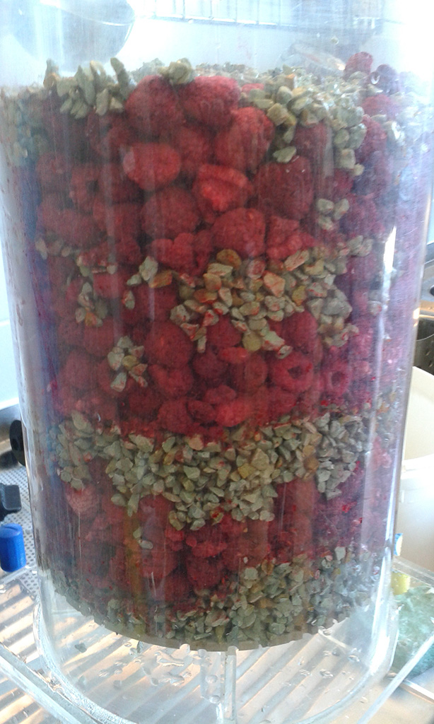 Homemade raspberry vinegar: the vinegar generator
