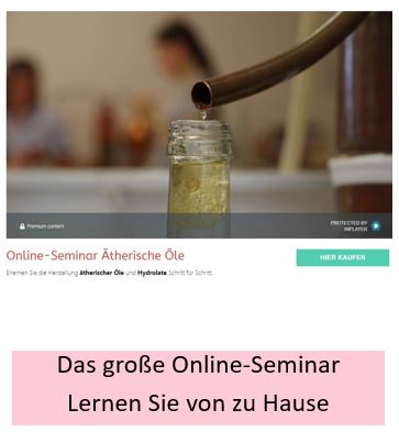 Lernen Sie von zu Hause ätherische Öle und Hydrolate selbst herzustellen und zu destillieren