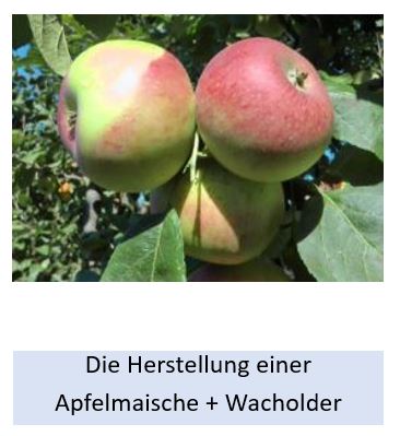 Alle Details zur Herstellung einer Apfelmaische mit Wacholder