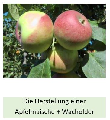 Alle Details zur Herstellung einer Apfelmaische mit Wacholder