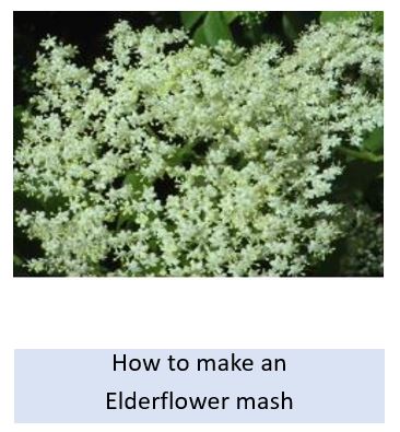 How to make an elderflower mash