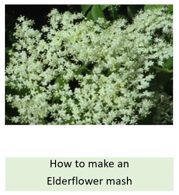 How to make an elderflower mash