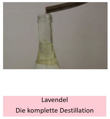 Der komplette Destillationsvorgang mit Lavendel