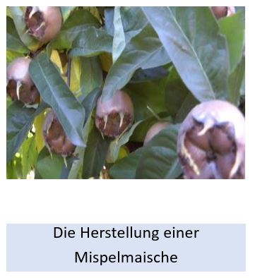 Alle Details zur Herstellung einer Mispelmaische