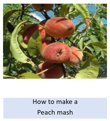 How to make a peach mash