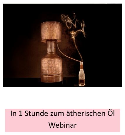 In 1 Stunde zum ätherischen Öl